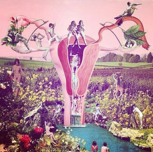 Bekkenbunnen og kosthold: Næring for vitalitet og styrke