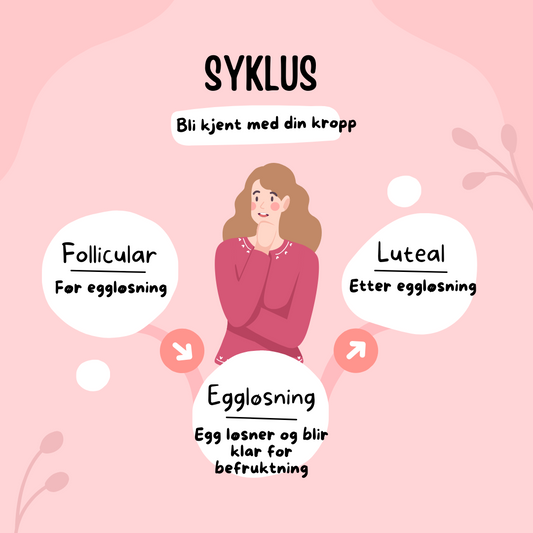 Lev i harmoni med din syklus