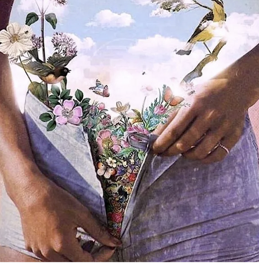 1:1 session Integrative Pelvic Health® & Womb Healing