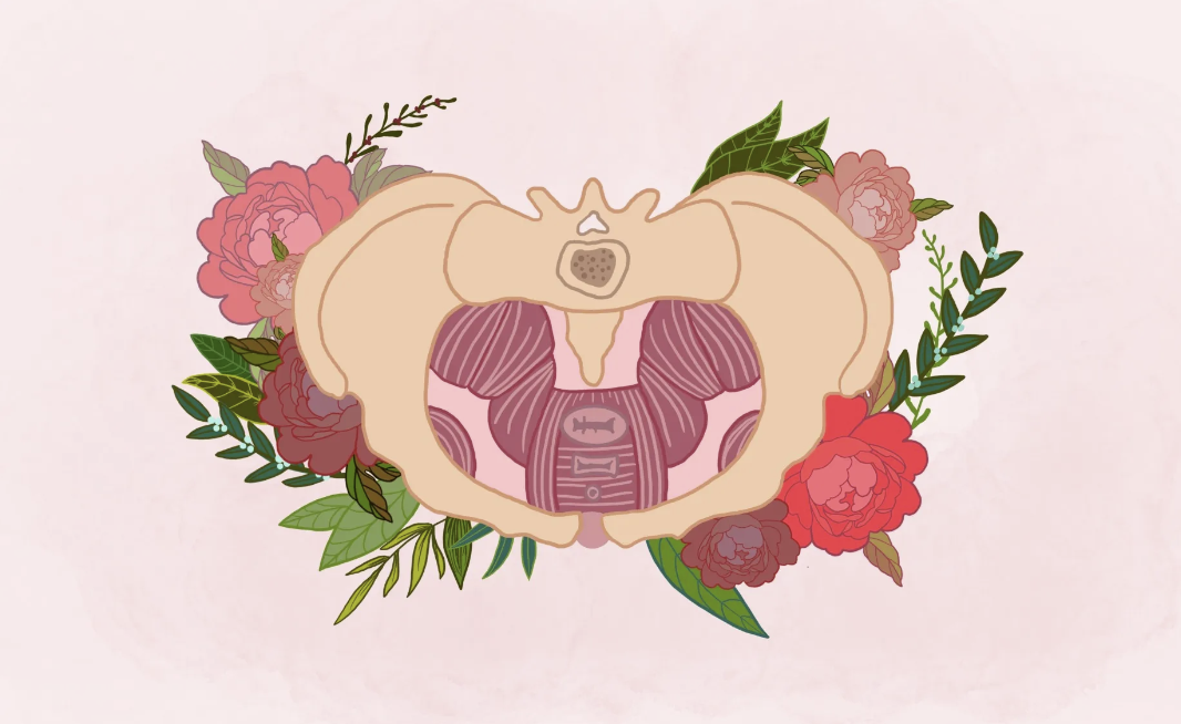 Integrative pelvic health®- vekker det fysiske, sensuelle og kreativ velvære av din bekkenbunn.